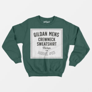Embroidered Sweatshirt