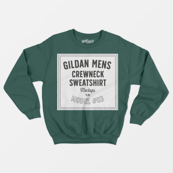 Embroidered Sweatshirt